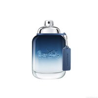 Perfume Coach Blue Masculino Eau de Toilette 100 ml