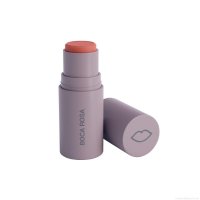 Blush Boca Rosa Stick Vix 5 g