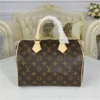 Louis Vuitton Speedy 25 Monogram Canvas