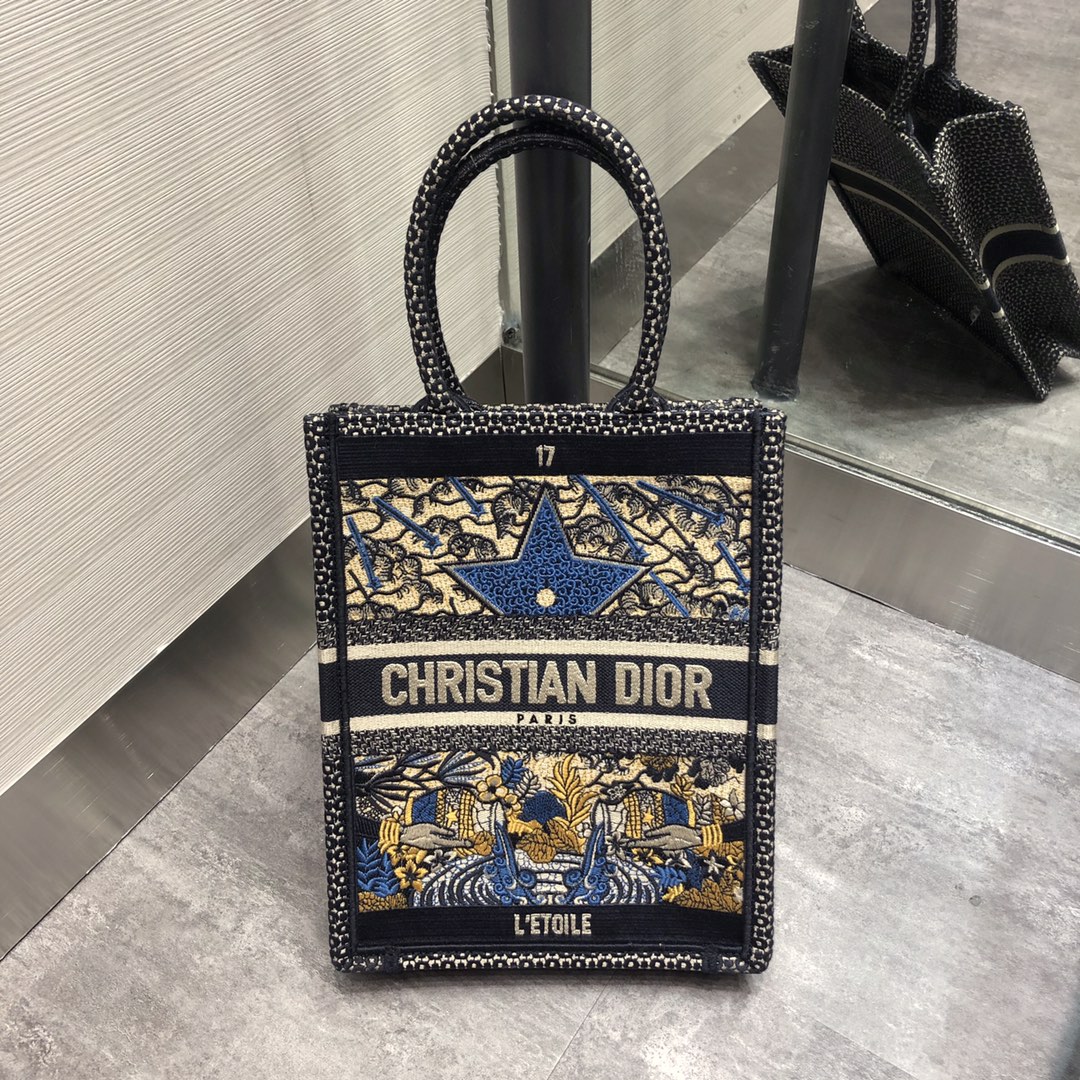 Christian Dior Multicolor Vertical Le Soleil Tarot Embroidered Book Tote